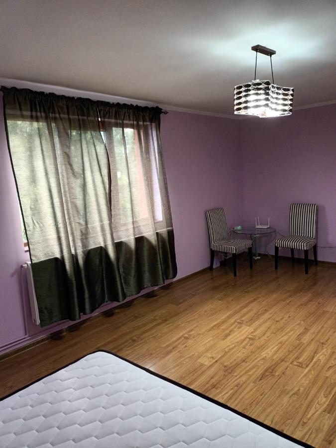 Apartament Apartament 2 Dormitoare Ploeszti Zewnętrze zdjęcie